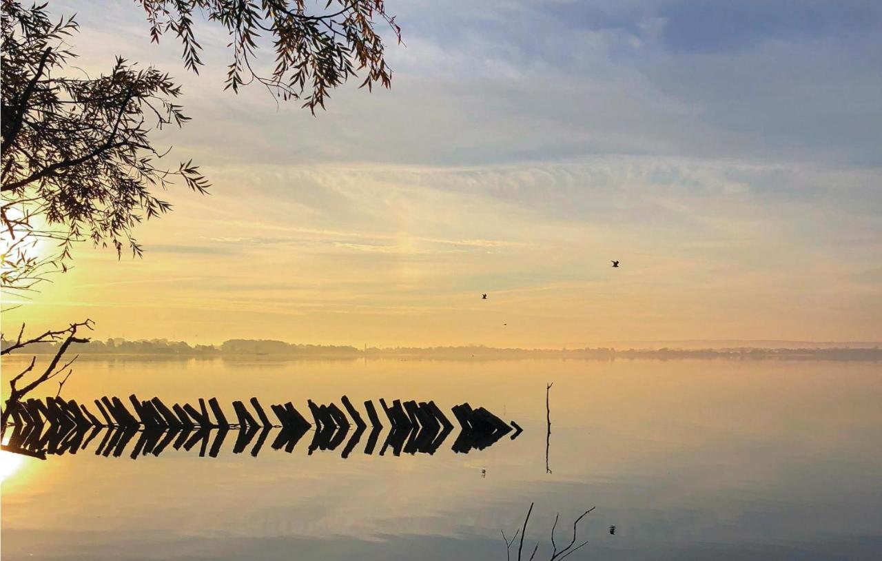 Lovely Home In Lembruch-Duemmer See With Sauna Bagian luar foto